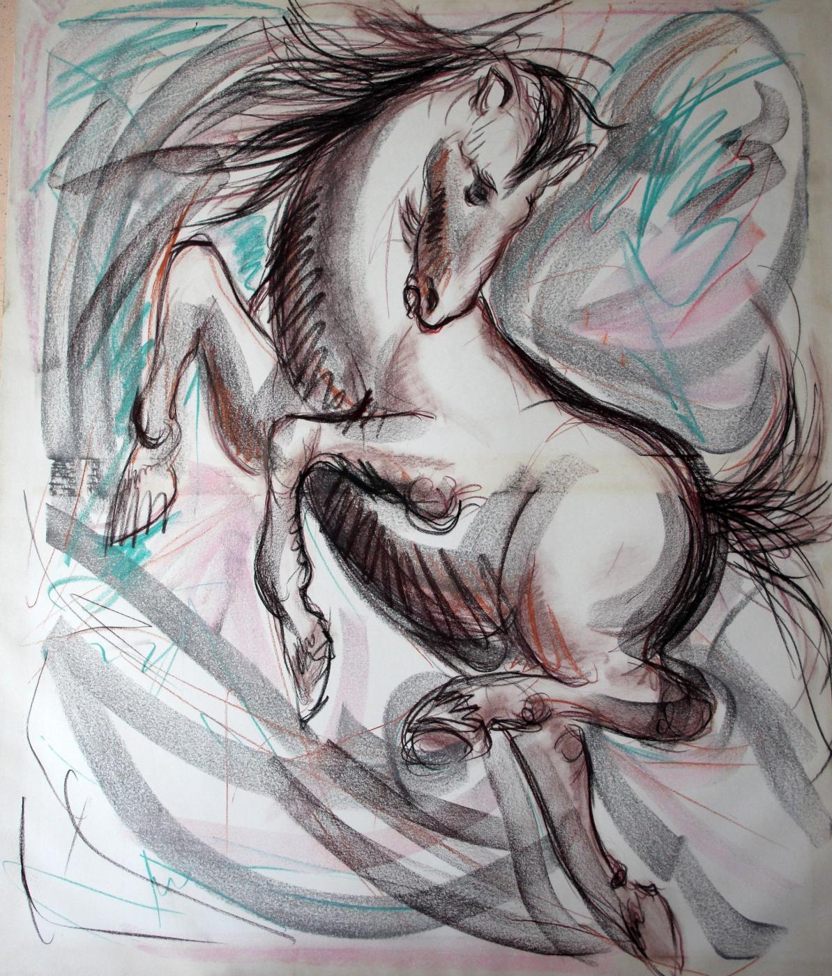 Estudio de caballo