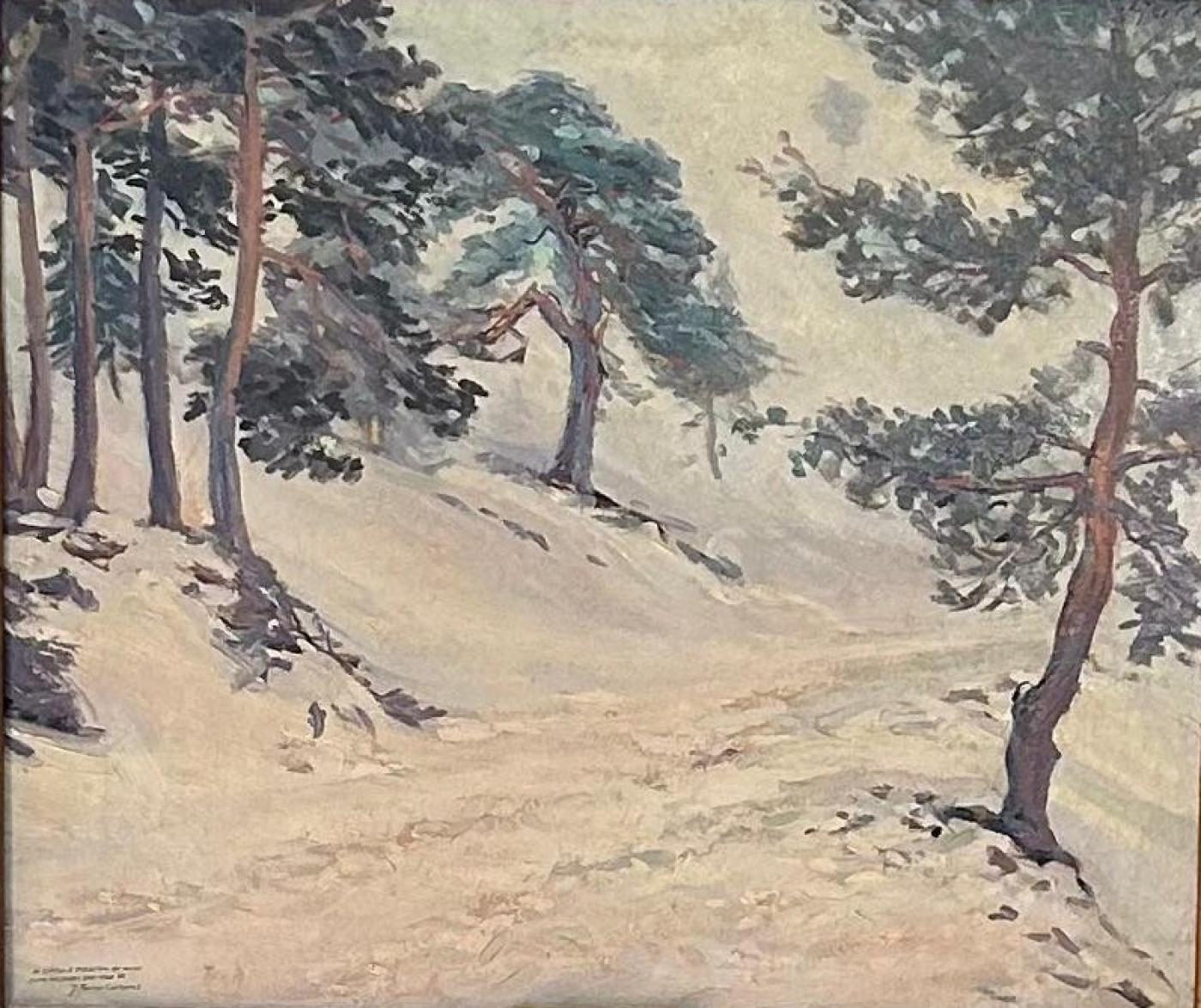PAISAJE CON NIEVE
