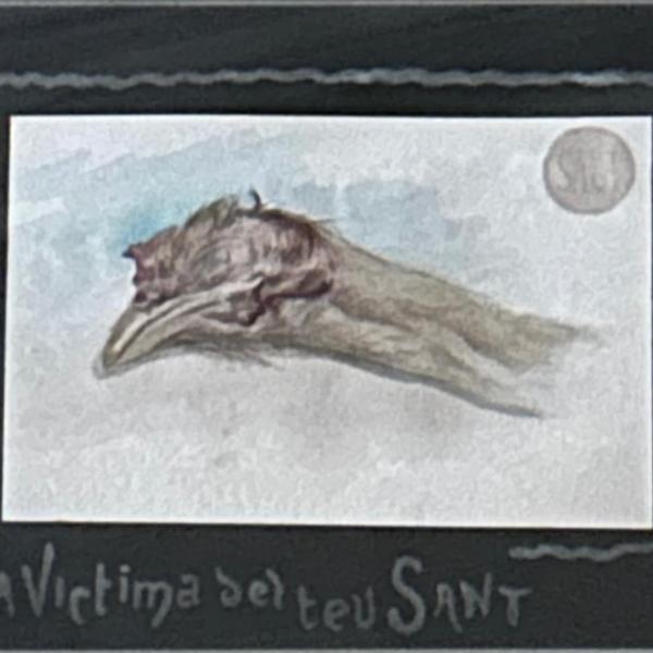 VICTIMA DEL TEU SANT — Emilio Sala Francés