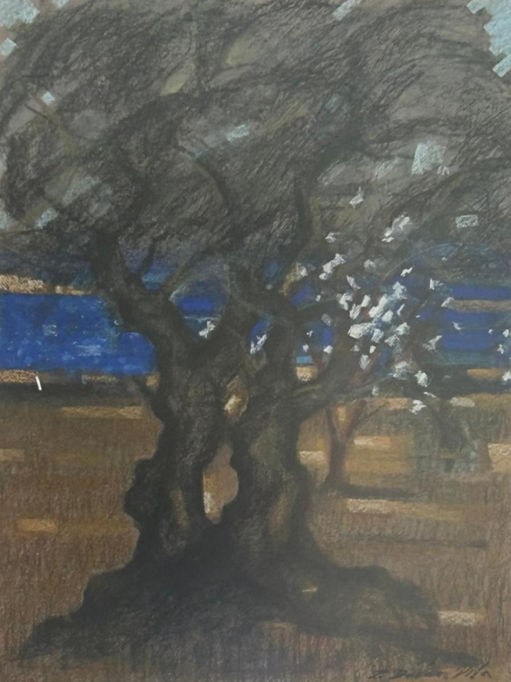 OLIVO