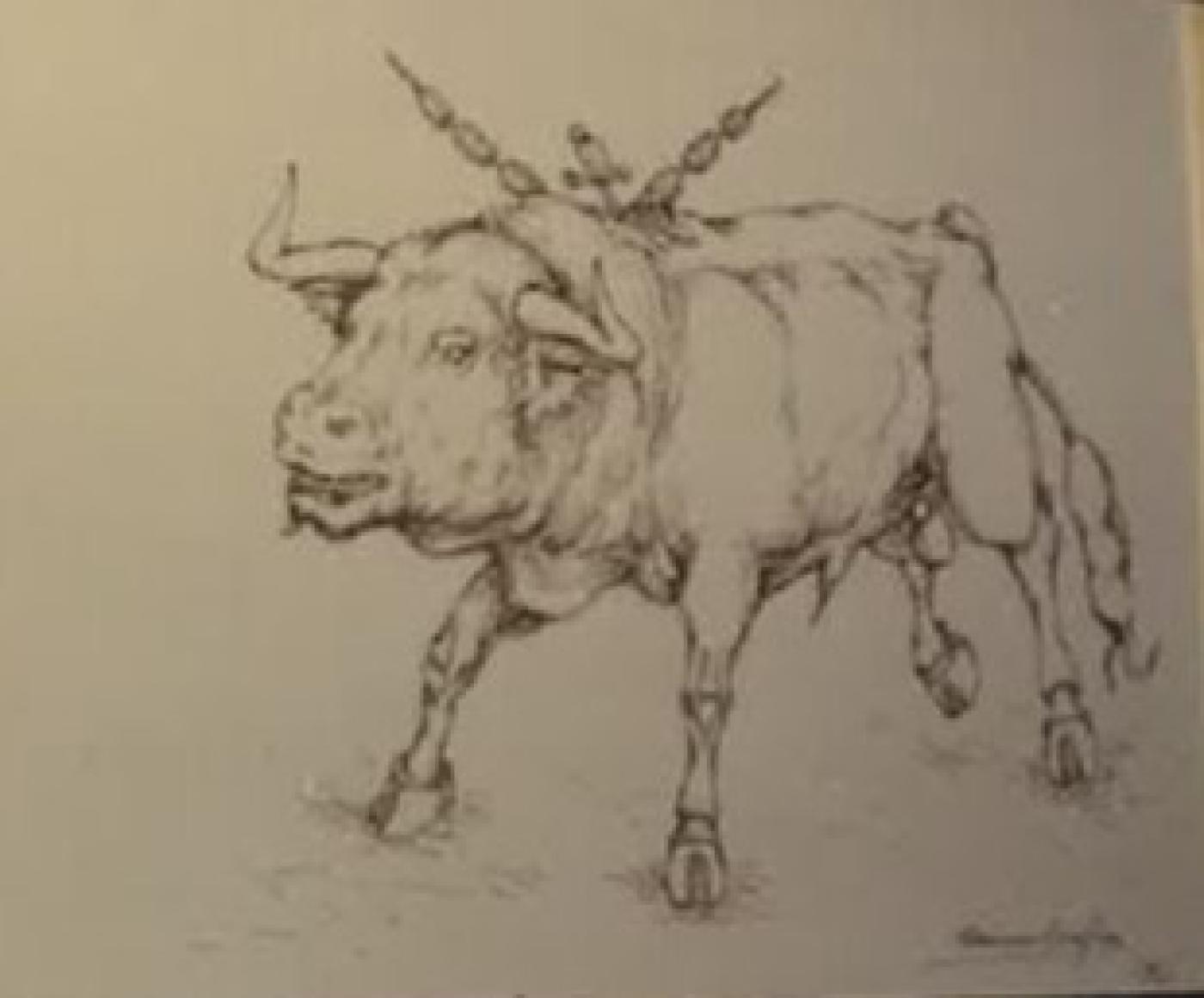 TORO