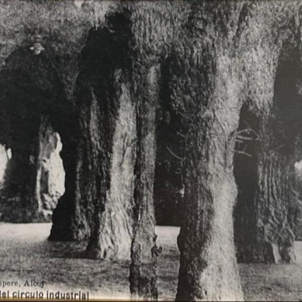 LA GRUTA  — Alfonso Casasempere