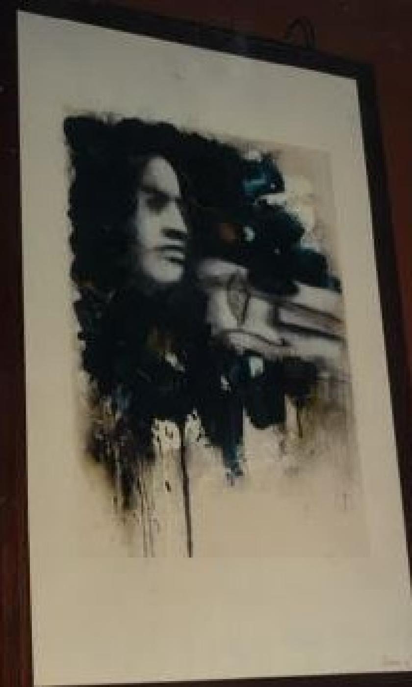 VIOLINISTA