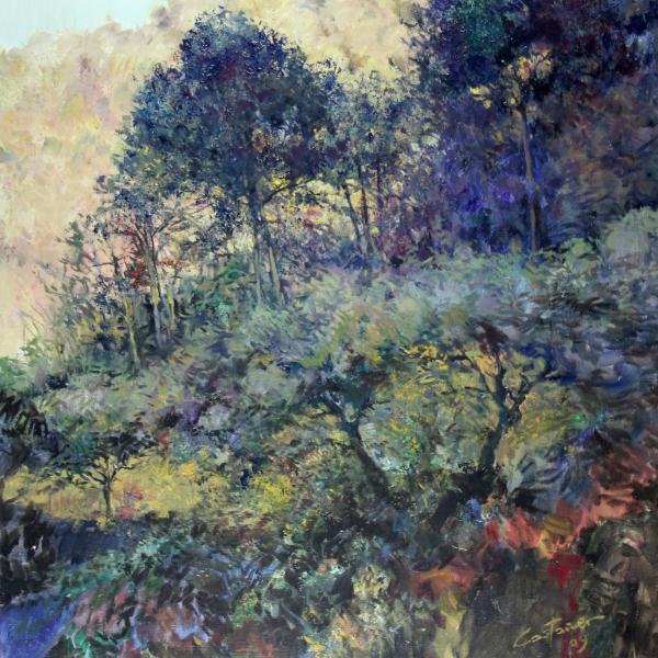 El silenci del bosc - (Serie Mariola)
