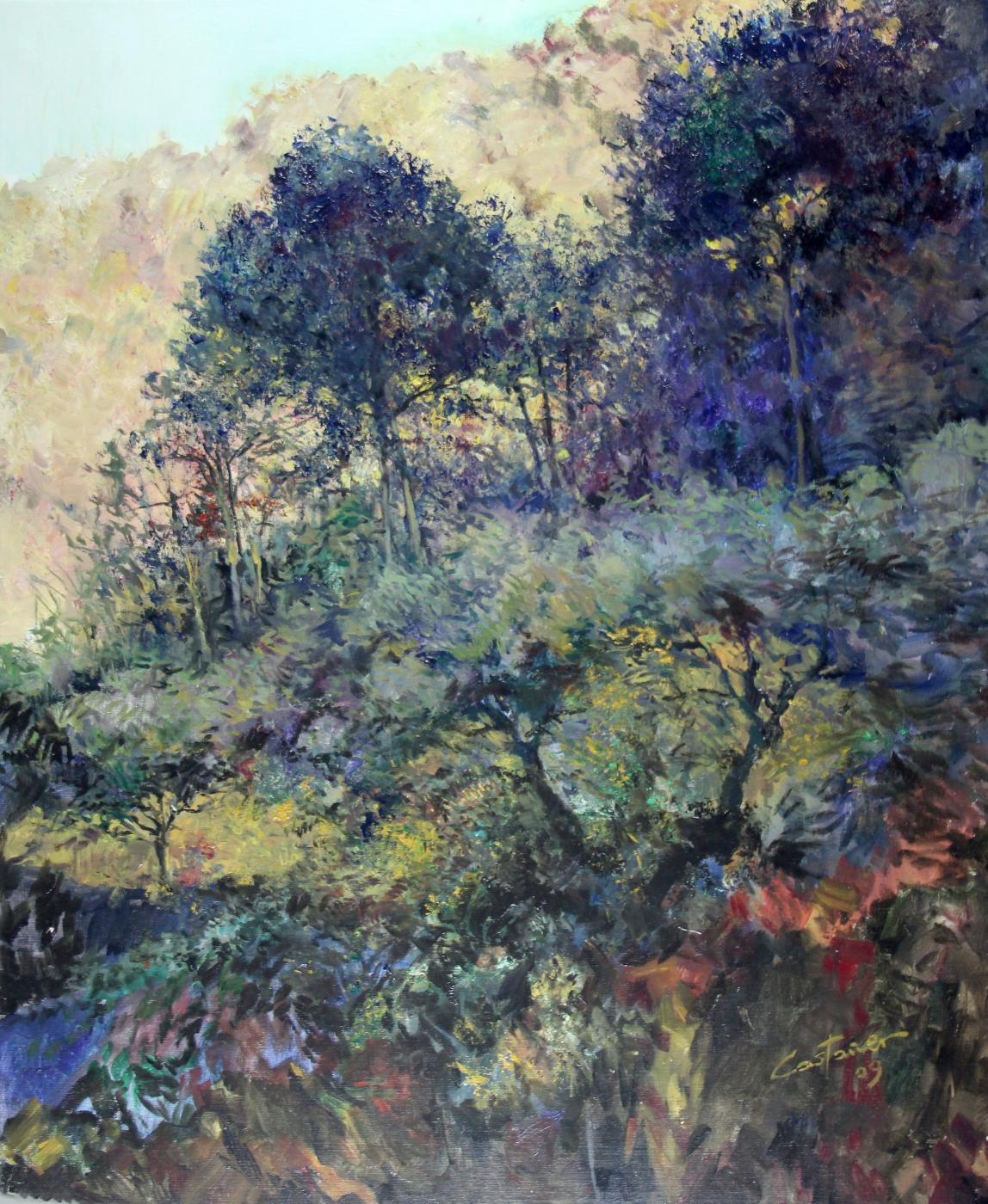 El silenci del bosc - (Serie Mariola)