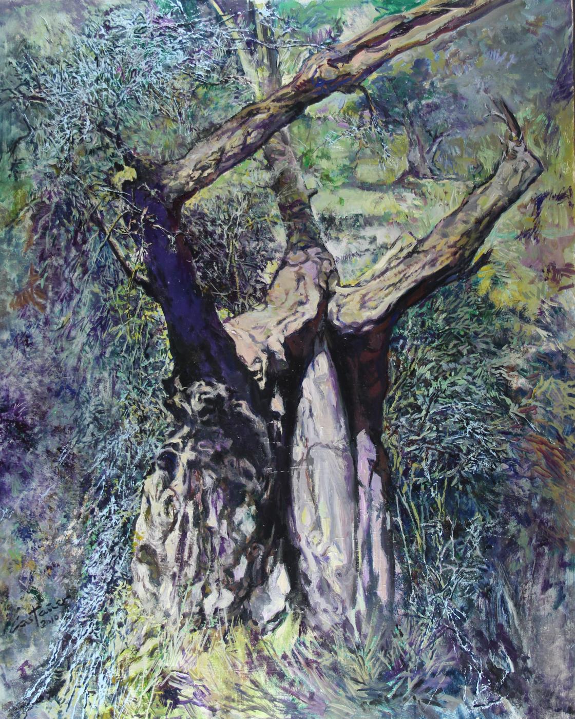Olivera en L'Abuela dels Dentons - (Serie La Mariola)
