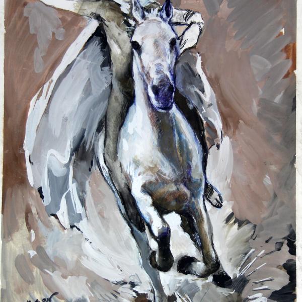 Caballo blanco, La Victoria-La Salud. Serie cuatro jinetes del apocalipsis — Ramón Castañer Segura